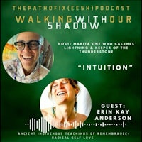 the walking with shadow podcast with erin anderson